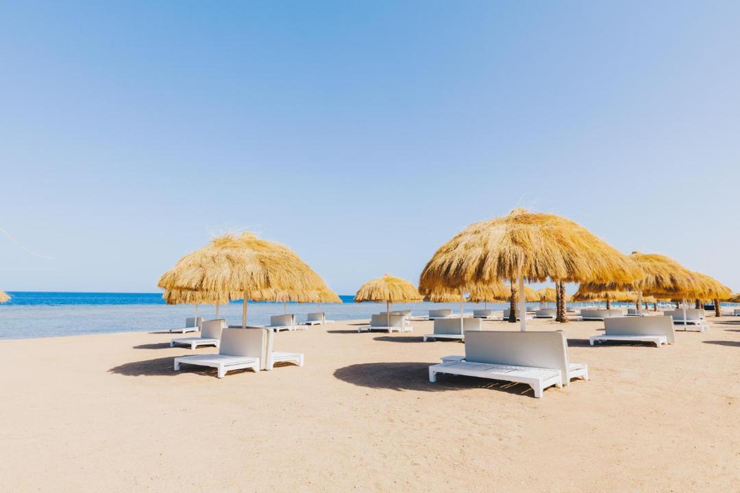 Photo of Others in Marsa Alam