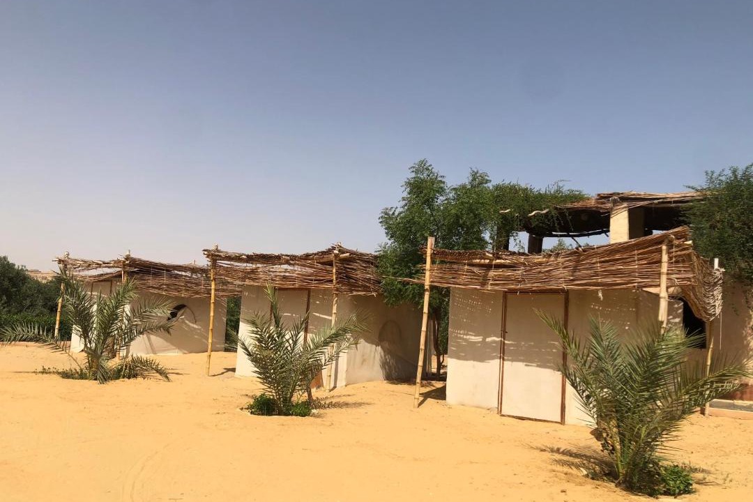 Photo of Others in Al Fayoum