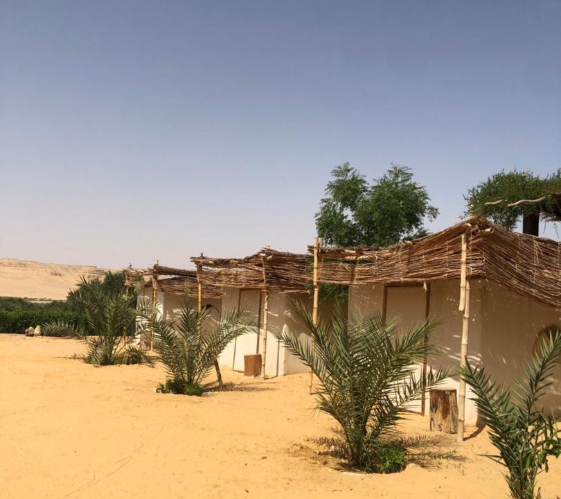Photo of Others in Al Fayoum