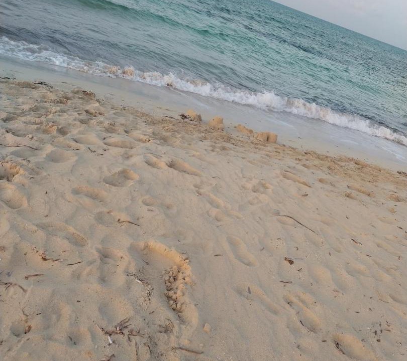Photo of Others in Marsa Matruh