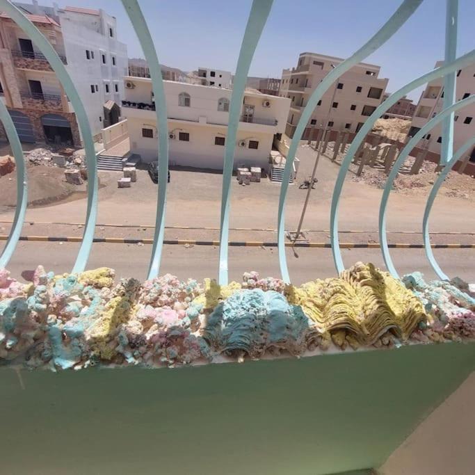 Photo of Others in Marsa Alam