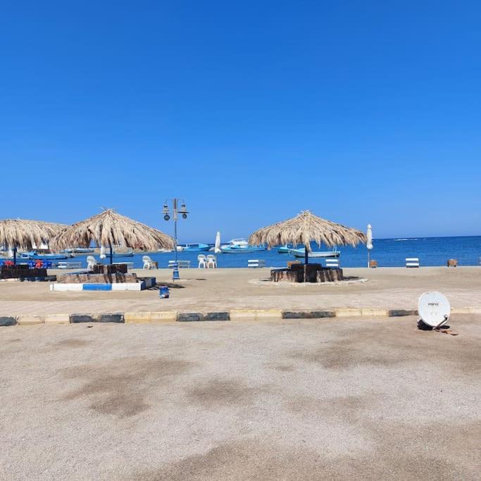 Photo of Others in Marsa Alam