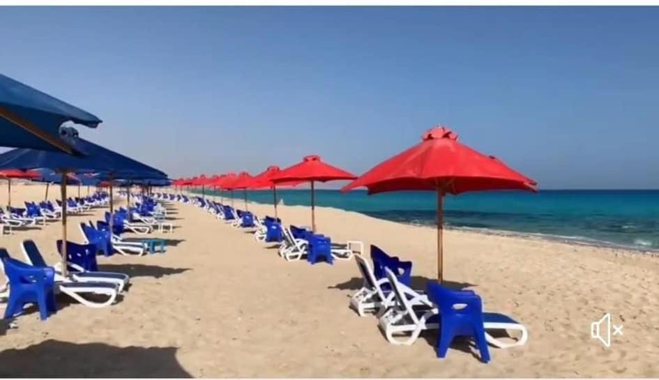 Photo of Others in Alexandria - Mediterranean Coast
