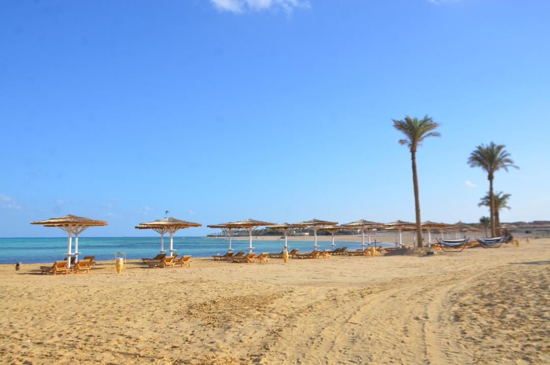 Photo of Others in Marsa Alam