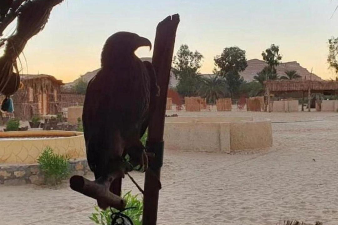 Photo of Others in Siwa