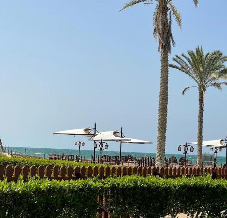 Photo of Others in Al Arish