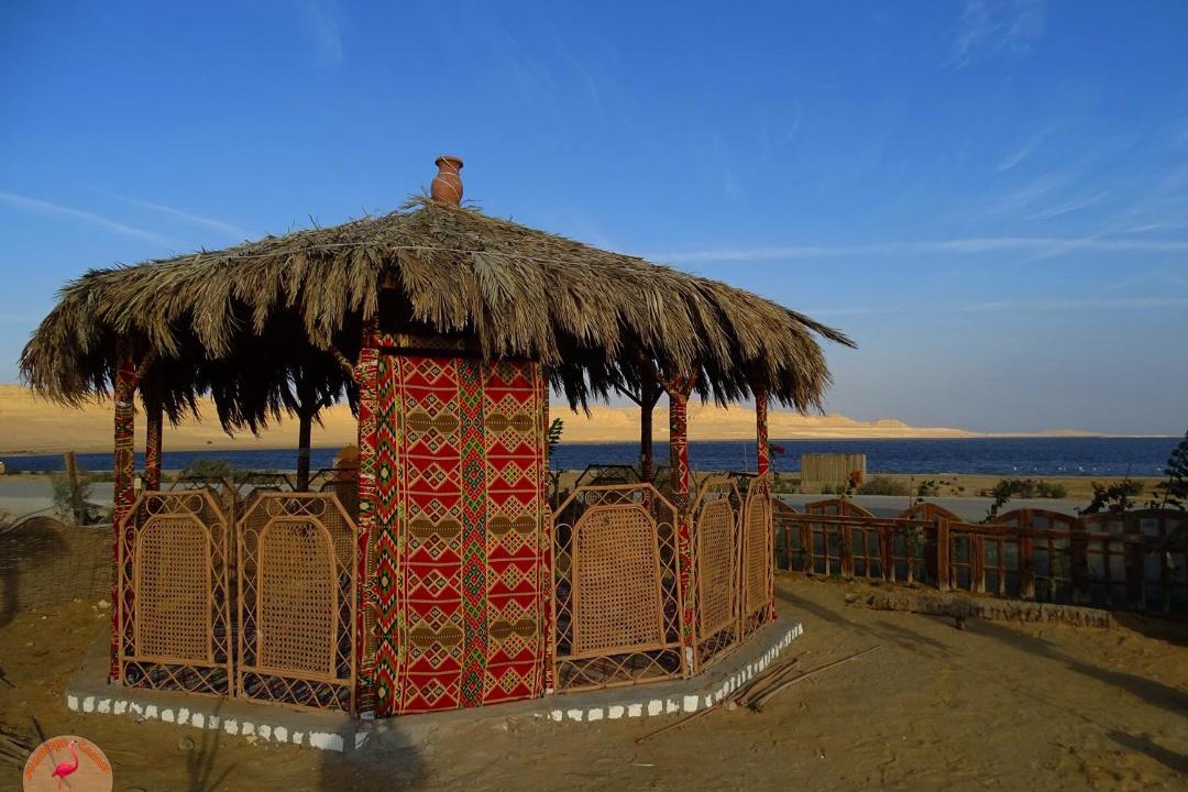 Photo of Others in Al Fayoum