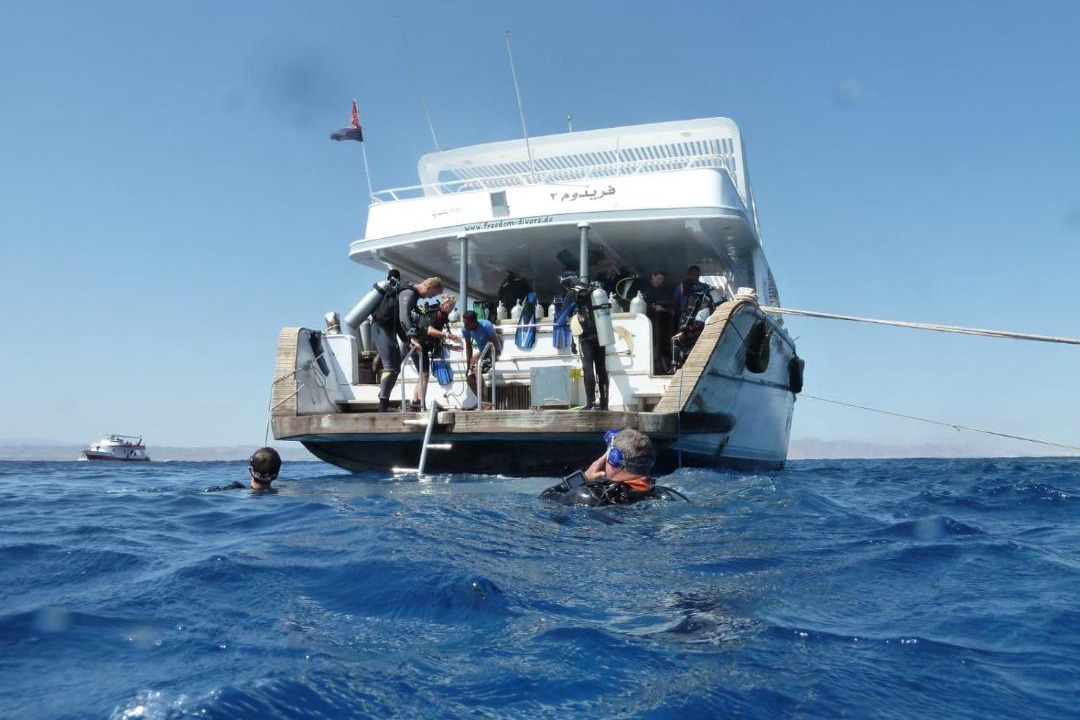 Photo of Others in Safaga