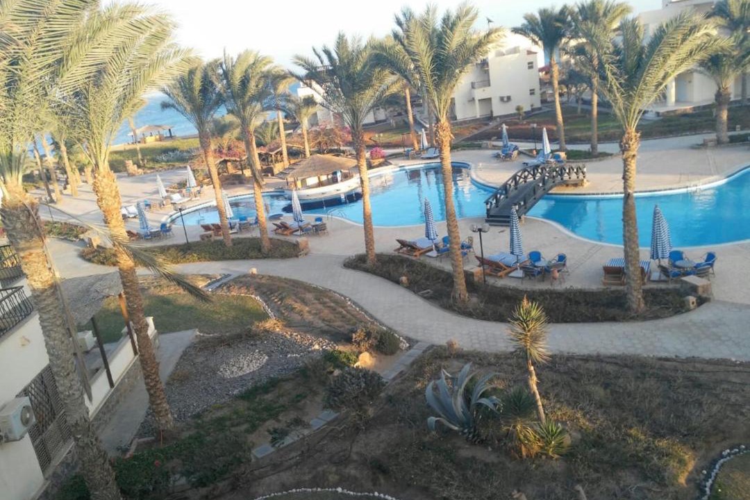 Photo of Others in Zafarana