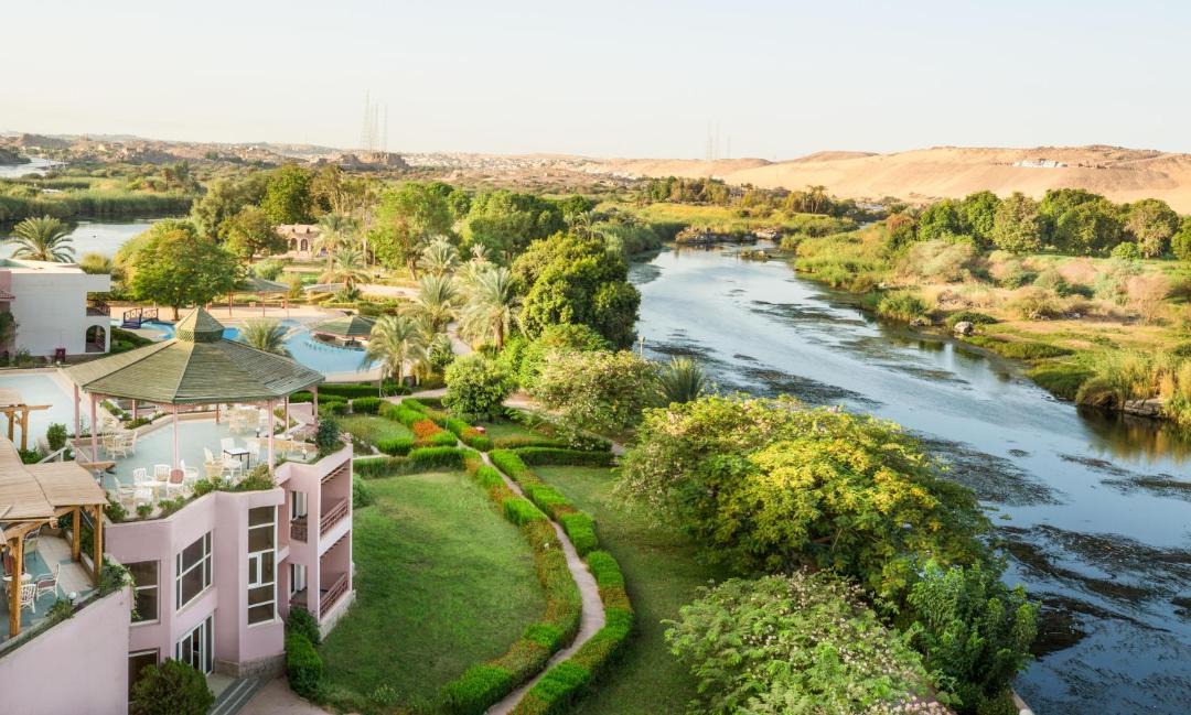 Photo of Others in Aswan