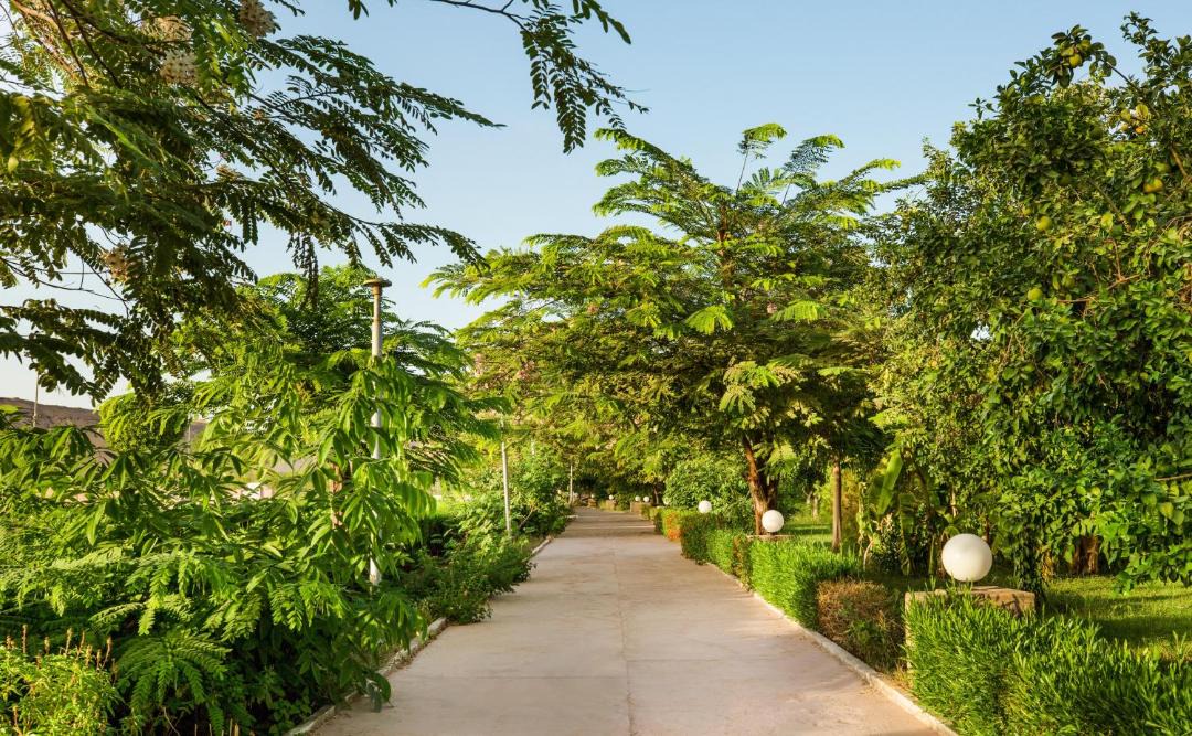 Photo of Outdoor in Aswan