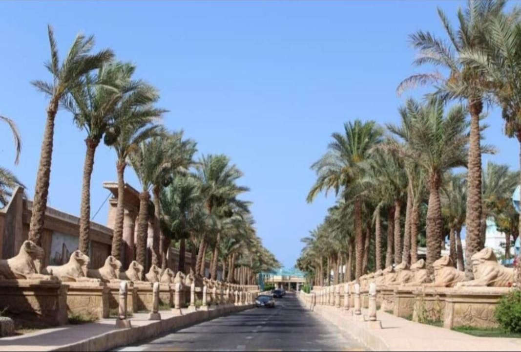 Photo of Others in Village Road