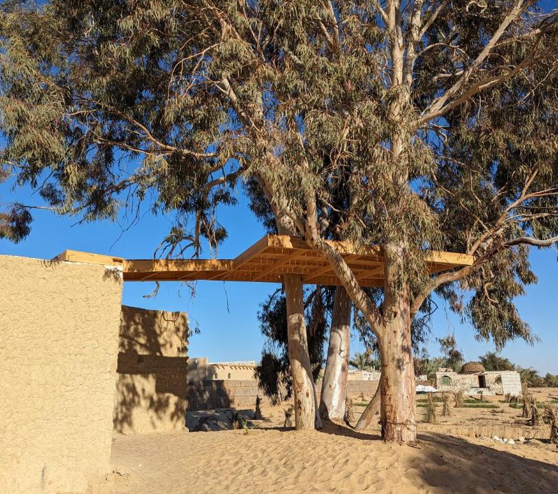 Photo of Others in Siwa