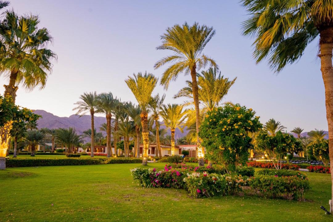 Photo of Others in Nuweiba