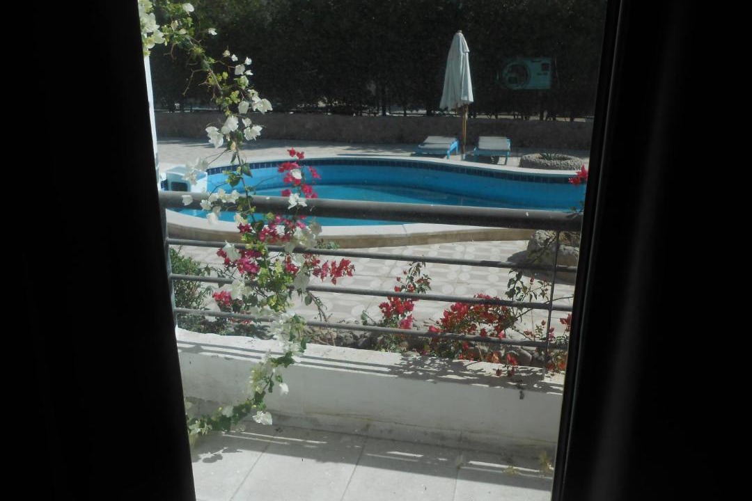 Photo of Others in El Gouna
