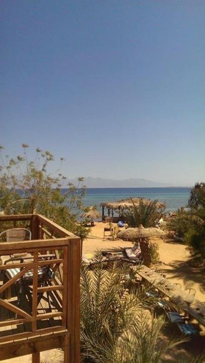 Photo of Others in Nuweiba