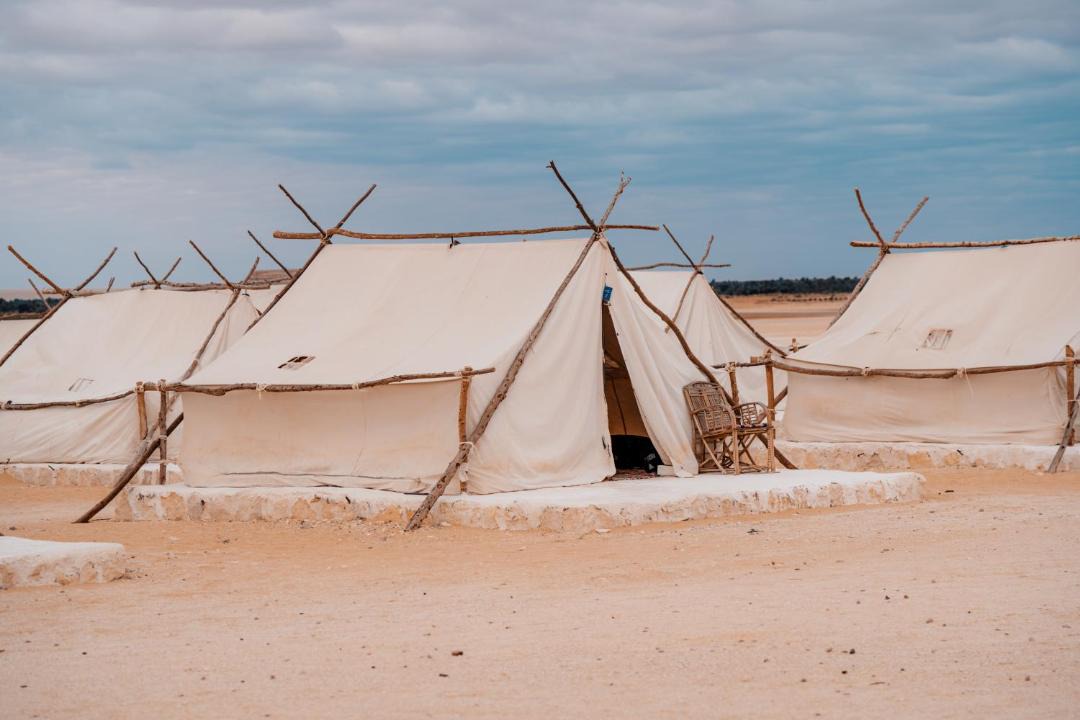 Photo of Others in Al Fayoum