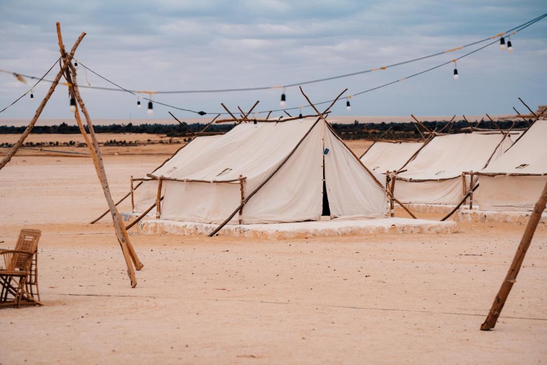 Photo of Others in Al Fayoum