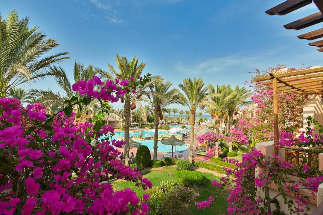 Photo of Others in Marsa Alam