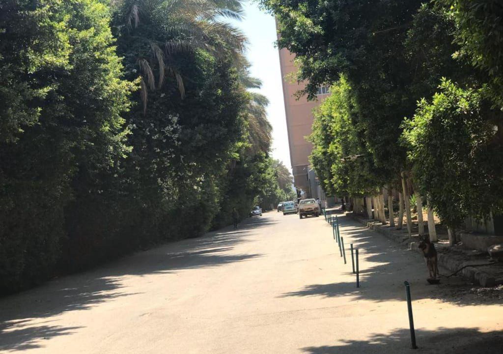 Photo of Others in Giza