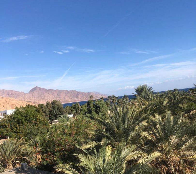 Photo of Others in Dahab