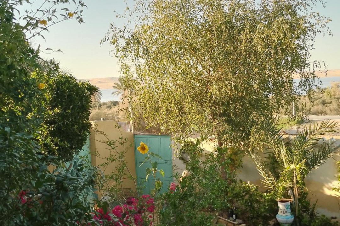 Photo of Others in Tunis Village