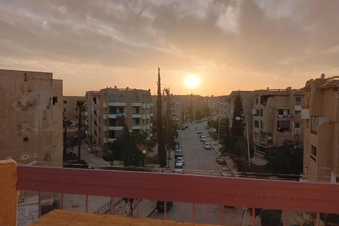Photo of Others in Sheikh Zayed City