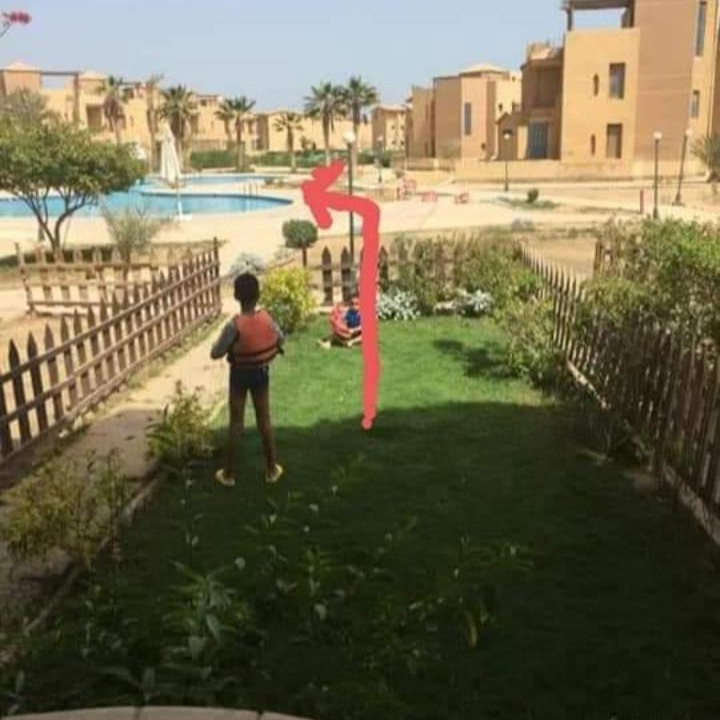 Photo of Others in Zafarana