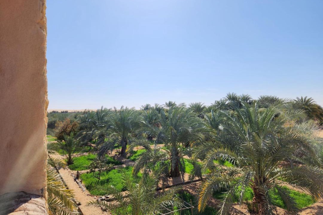 Photo of Others in Siwa