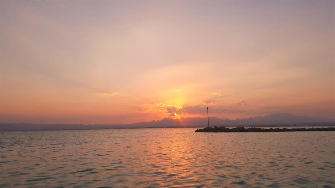 Photo of Others in Soma Bay