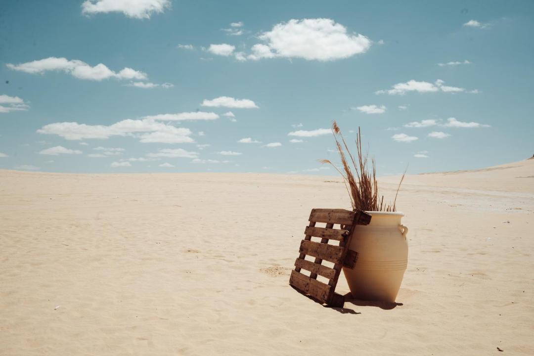 Photo of Others in Al Fayoum