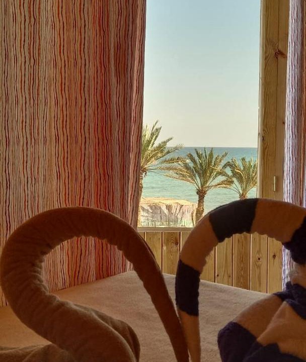 Photo of Others in Nuweiba