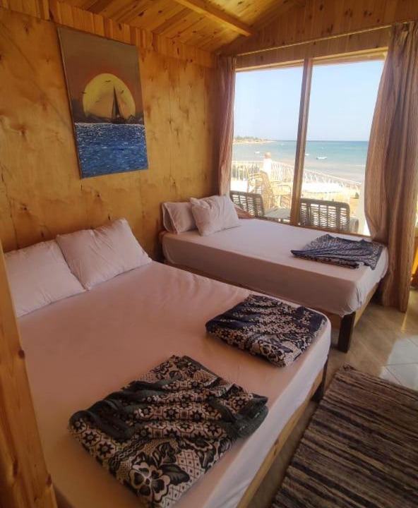 Photo of Others in Nuweiba
