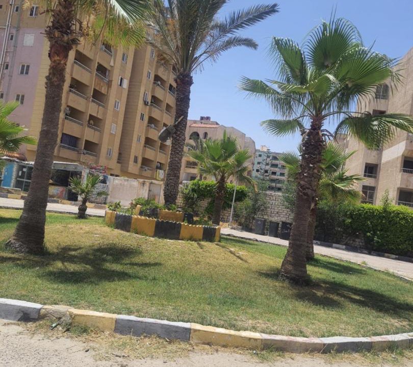 Photo of Others in Alexandria