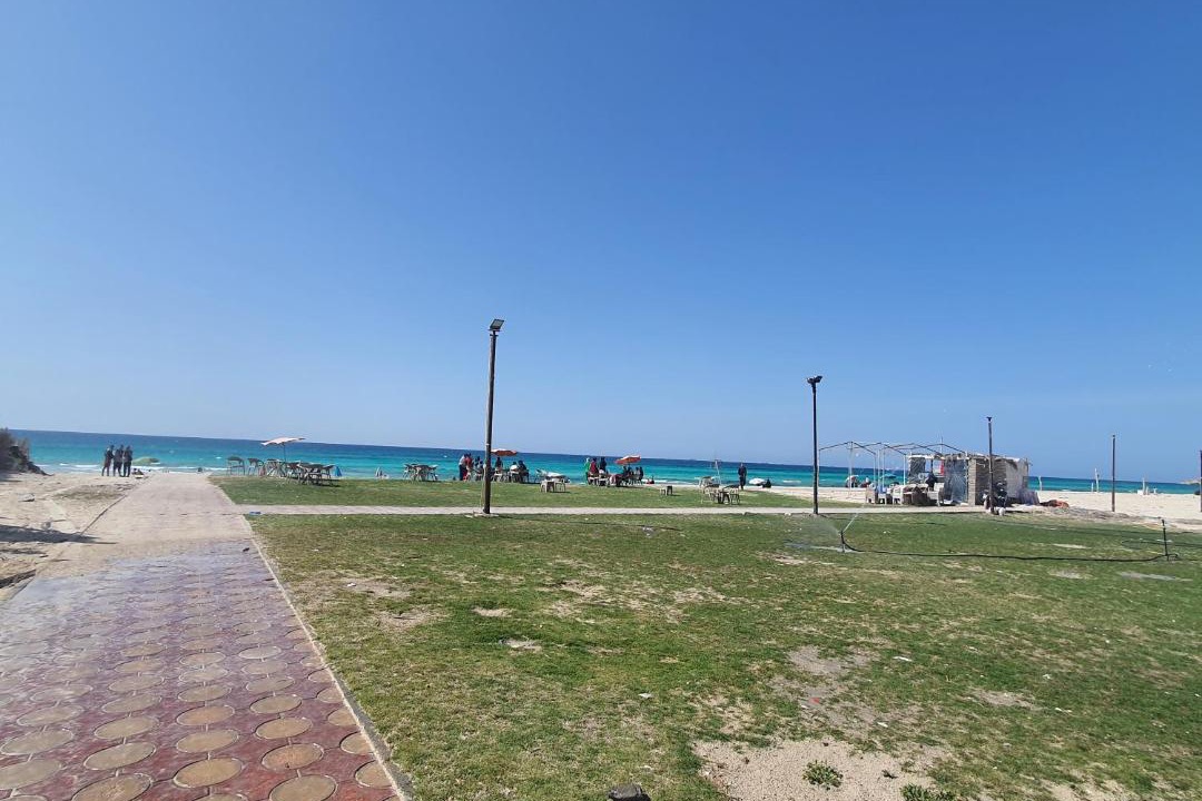 Photo of Others in Alexandria