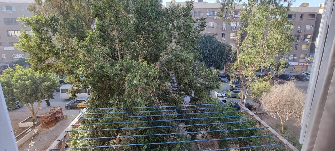 Photo of Others in Nasr City