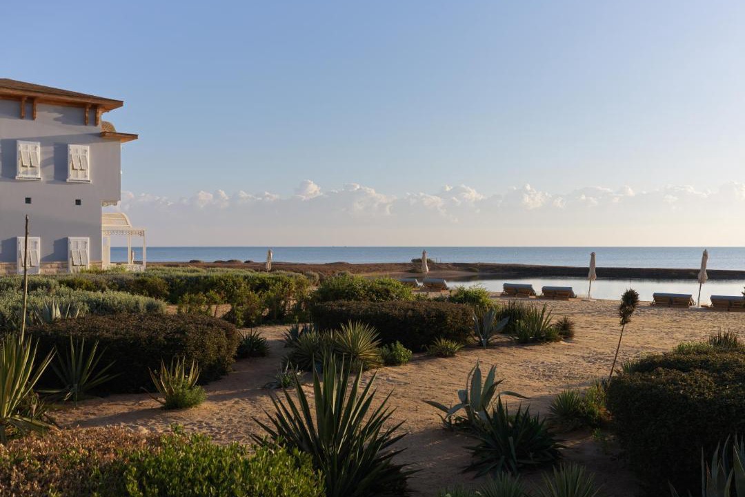 Photo of Others in El Gouna