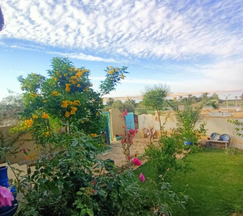 Photo of Others in Tunis Village