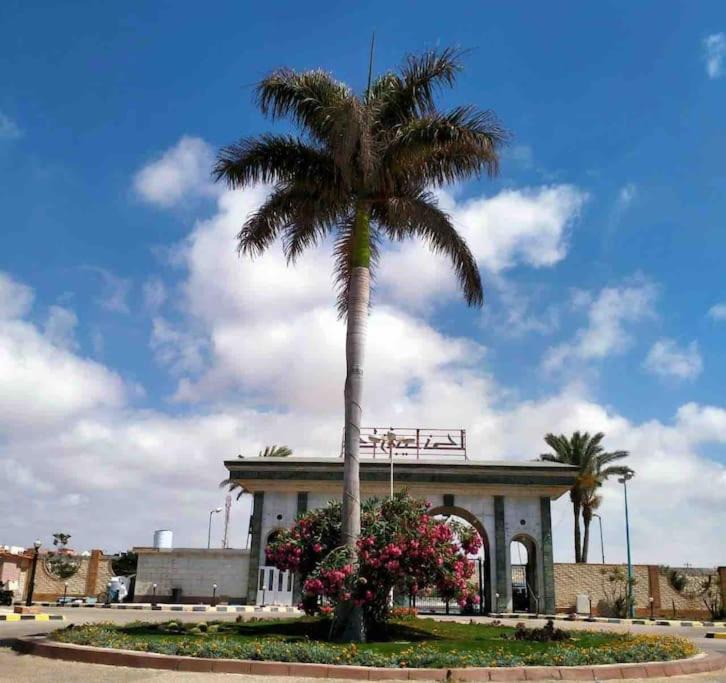 Photo of Others in Qetaa Maryout