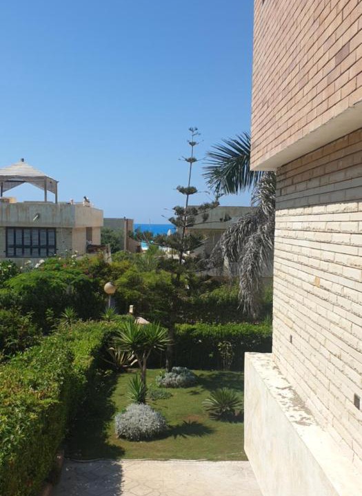 Photo of Others in Borg el Arab