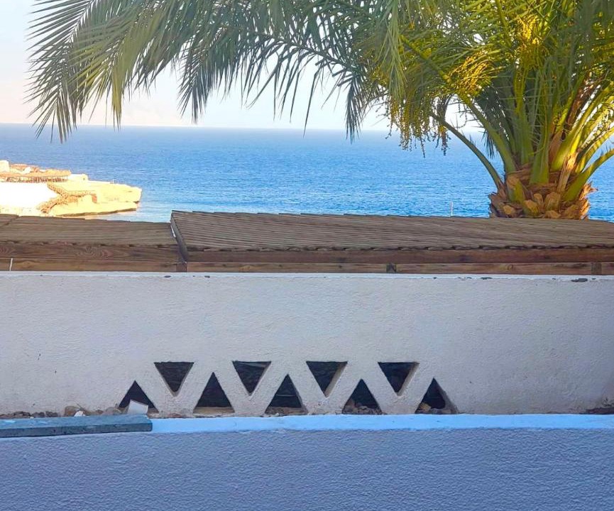 Photo of Others in Qetaa Maryout