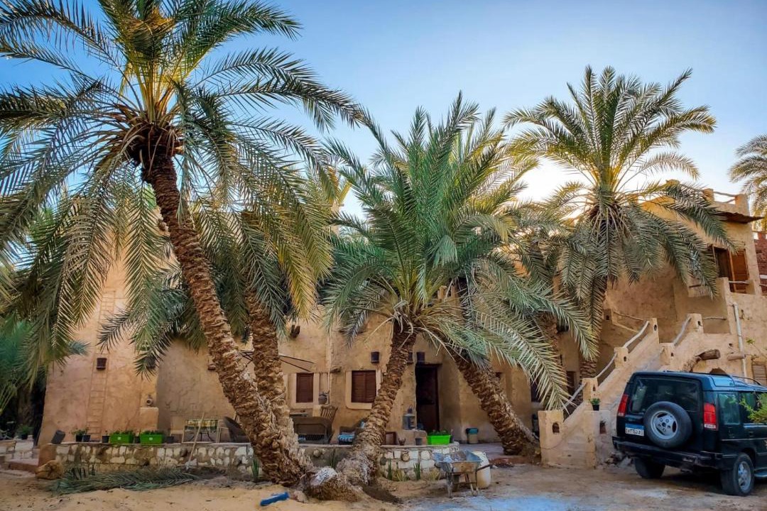Photo of Others in Siwa