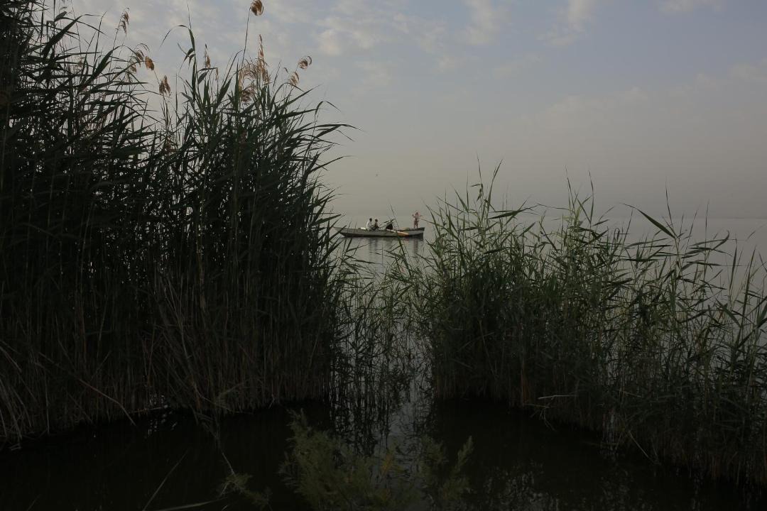 Photo of Others in Tunis Village