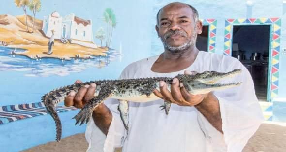 Photo of Others in Aswan