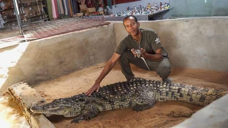 Photo of Others in Aswan