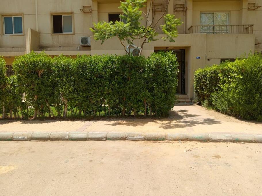 Photo of Others in Sheikh Zayed City
