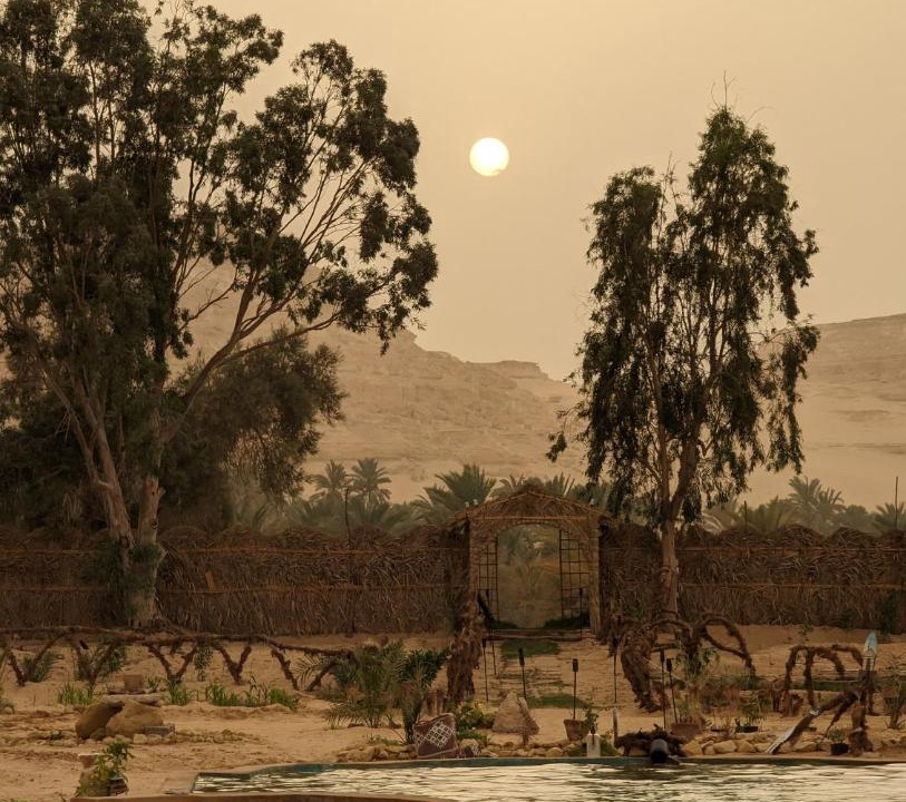 Photo of Others in Siwa