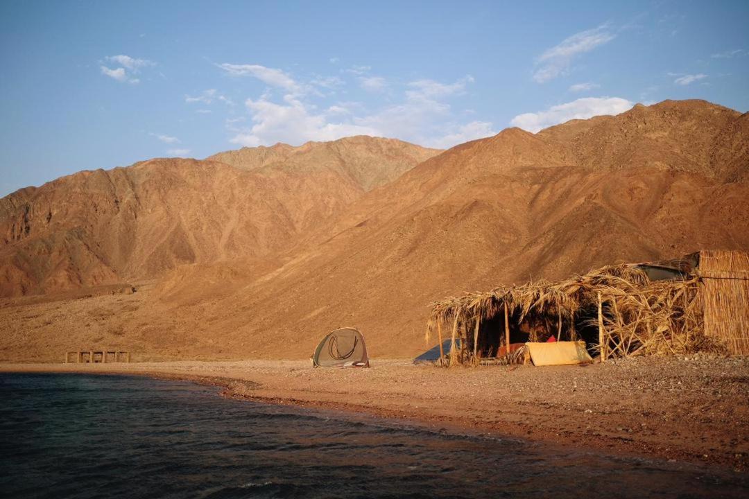 Photo of Others in Dahab