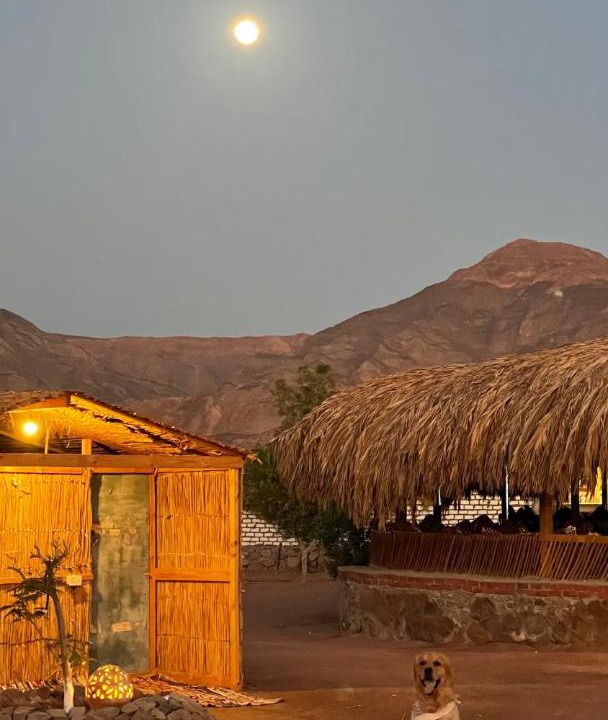 Photo of Others in Nuweiba