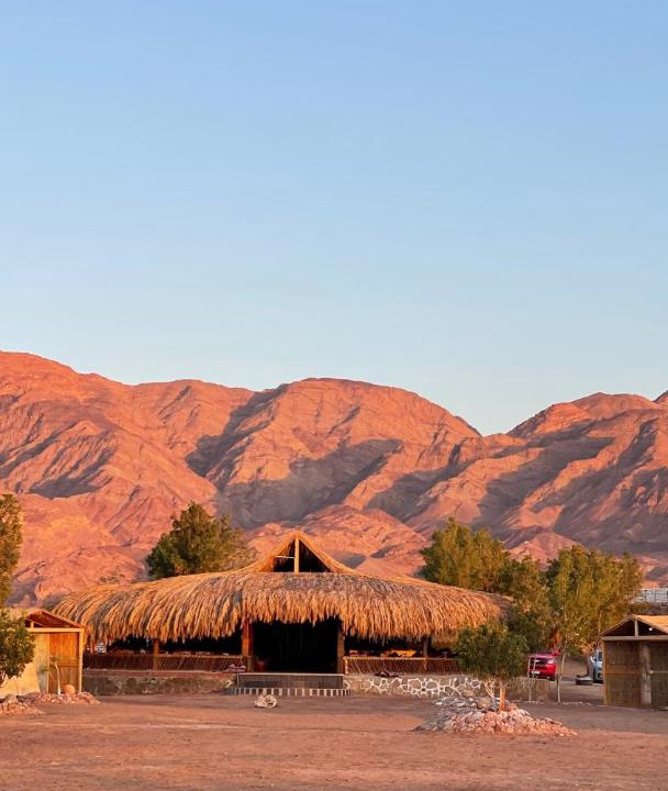 Photo of Others in Nuweiba